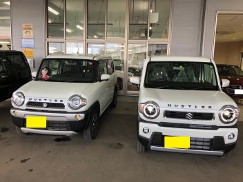 新型ハスラー納車